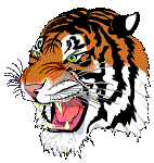 Clip Art illustration of a tiger head